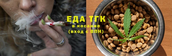 гашик Вязьма