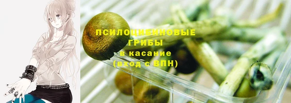 jwh Гусь-Хрустальный