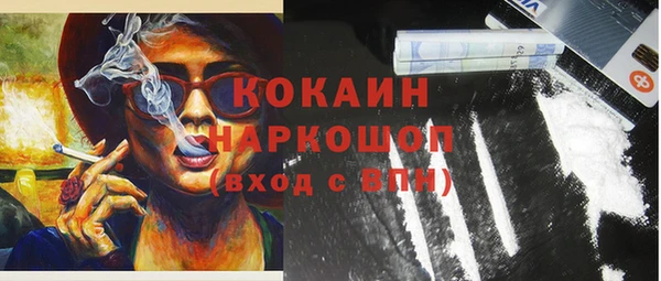 PSILOCYBIN Тутаев