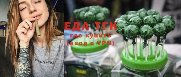 гашик Вязьма